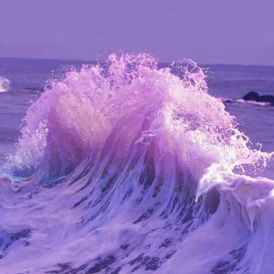 助赢软件下载手机版